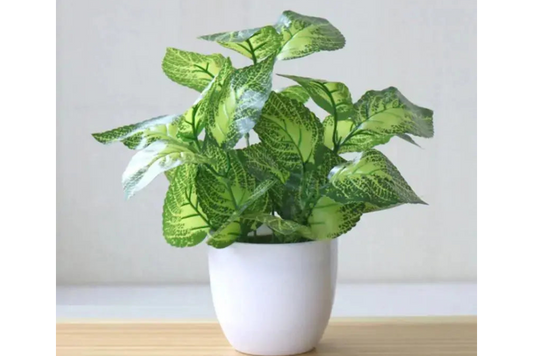 Artificial Succulent Plant Decor for Effortless Home Beautification - LuxeStreet Boutique