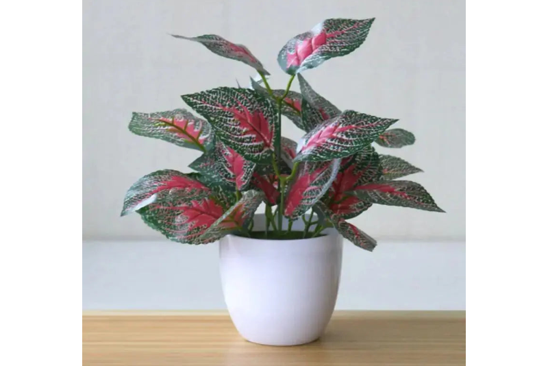 Artificial Succulent Plant Decor for Effortless Home Beautification - LuxeStreet Boutique